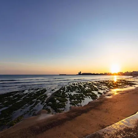 Vibrant With Wonderful Sea View Daire